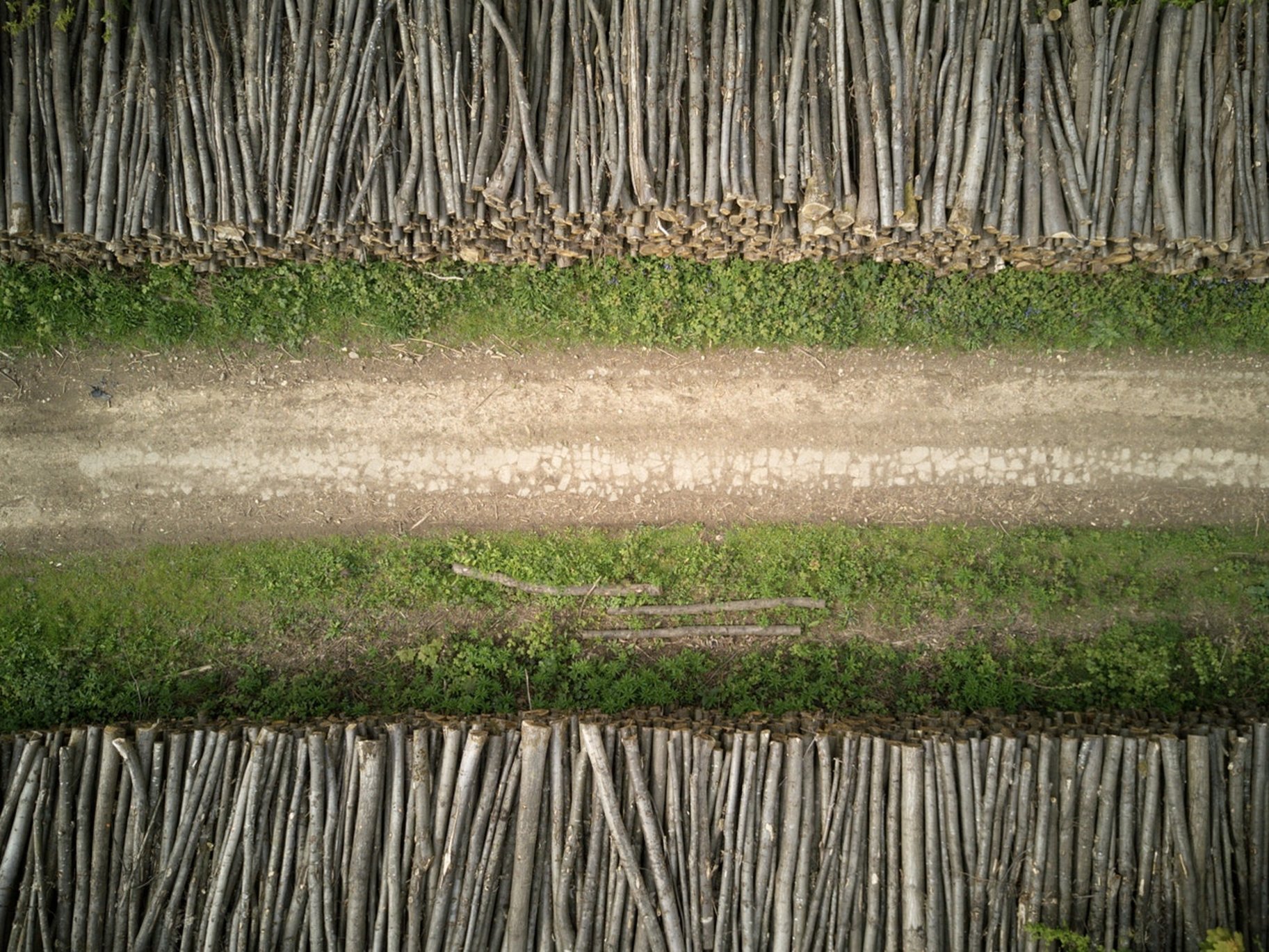 pile de bois